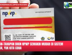 Bikin NPWP Di Handphone Semakin Mudah, Ini Tahapan Awalnya