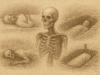 file_000000007fe86246abdc48b2174bcbfe