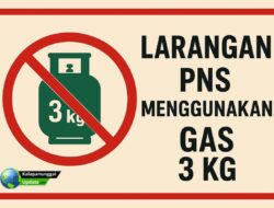 Larangan Tegas: PNS Tak Boleh Gunakan Elpiji 3 Kg, Ada Sanksinya!