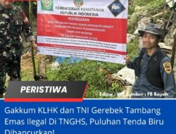 Gakkum KLHK Dan TNI Gerebek Tambang Emas Ilegal di TNGHS, Puluhan Tenda Biru Dihancurkan!