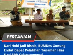 Dari Hobi Jadi Bisnis, BUMDes Gunung Endut Dapat Pelatihan Tanaman Hias Dari BPP Kalapanunggal