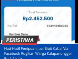 Hati-Hati! Penipuan Jual Bibit Cabai Via Facebook Rugikan Warga Kalapanunggal Rp 2,4 Juta