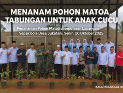 Dari Sukatani Untuk Bumi: Penanaman Pohon Matoa Jadi Tabungan Hijau Anak Negeri