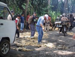 Kepala Desa Se-Kecamatan Parakansalak Bersama Warga Gotong Royong Perbaiki Jalan Kabupaten Yang Rusak