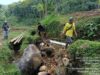 IMG-20251006-WA0013