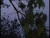 IMG_20251006_021702