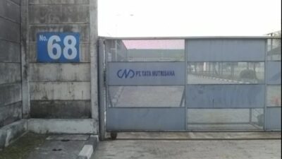 Lowongan Terbaru Oktober 2025! TATA NUTRISANA Butuh Staff Accounting, Minimal S1 Akuntansi