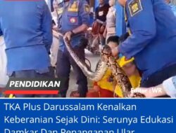 TKA Plus Darussalam Kenalkan Keberanian Sejak Dini: Serunya Edukasi Damkar Dan Penanganan Ular