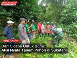 Dari Cicabe Untuk Bumi: Aksi Nyata Tanam Pohon Di Sukatani