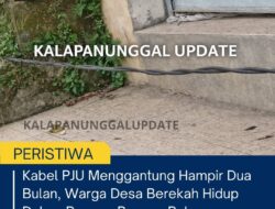 Kabel PJU Menggantung Hampir Dua Bulan, Warga Desa Berekah Hidup Dalam Bayang-Bayang Bahaya