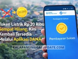 Token Listrik Rp20 Ribu Sempat Hilang, Kini Kembali Tersedia Di Aplikasi DANA