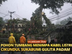 Hujan Disertai Angin Kencang, Pohon Tumbang Luluhlantakkan Kabel Listrik Di Cikundul – Listrik Padam Di Sejumlah Wilayah