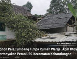 Pohon Pala Tumbang Timpa Rumah Warga, Apih Otoy Pertanyakan Peran URC Kecamatan Kabandungan