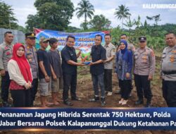 Penanaman Jagung Hibrida Serentak 750 Hektare, Polda Jabar Bersama Polsek Kalapanunggal Dukung Ketahanan Pangan