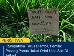 Geram Rumputnya Terus Diambil, Pemilik Pasang Papan ‘Jukut Odot Ulah Sok Di Aritan!
