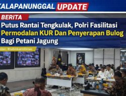 Putus Rantai Tengkulak, Polri Fasilitasi Permodalan KUR dan Penyerapan Bulog Bagi Petani Jagung