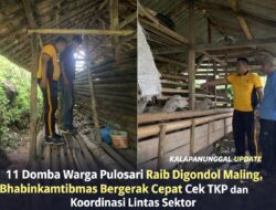 11 Domba Warga Pulosari Raib Digondol Maling, Bhabinkamtibmas Bergerak Cepat Cek TKP Dan Koordinasi Lintas Sektor
