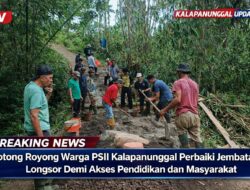 Gotong Royong Warga PSII Kalapanunggal Perbaiki Jembatan Longsor Demi Akses Pendidikan Dan Masyarakat