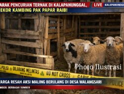 Marak Aksi Pencurian Ternak Di Kalapanunggal, Warga Resah: 8 Ekor Hewan Milik Warga Walangsari Raib