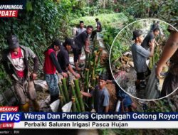 Warga Dan Pemdes Cipanengah Bojong Genteng Gotong Royong Perbaiki Saluran Irigasi Pasca Hujan
