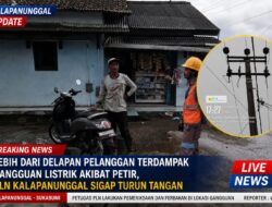 Lebih Dari Delapan Pelanggan Terdampak Gangguan Listrik Akibat Petir, PLN Kalapanunggal Sigap Turun Tangan
