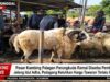 Pasar Kambing Palagan Parungkuda Ramai Diserbu Pembeli Jelang Idul Adha, Pedagang Keluhkan Harga Tawaran Terlalu Rendah IMG-20260512-WA0047