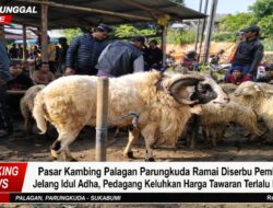 Pasar Kambing Palagan Parungkuda Ramai Diserbu Pembeli Jelang Idul Adha, Pedagang Keluhkan Harga Tawaran Terlalu Rendah