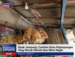 Opak Jampang, Camilan Khas Pajampangan Yang Murah Meriah Dan Bikin Nagih