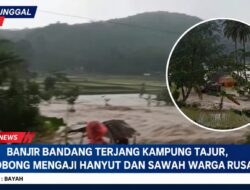 Banjir Bandang Terjang Kampung Tajur, Kobong Mengaji Hanyut Dan Sawah Warga Rusak