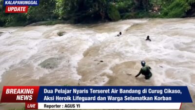 Dua Pelajar Nyaris Terseret Air Bandang di Curug Cikaso, Aksi Heroik Lifeguard Dan Warga Selamatkan Korban
