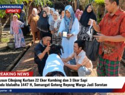 Dusun Cibojong Kurban 22 Ekor Kambing Dan 3 Ekor Sapi Pada Iduladha 1447 H, Semangat Gotong Royong Warga Jadi Sorotan