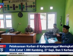 Pelaksanaan Kurban Di Kalapanunggal Meningkat, KUA Catat 1.080 Kambing, 27 Sapi, Dan 5 Kerbau