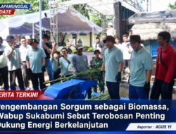Pengembangan Sorgum sebagai Biomassa, Wabup Sukabumi Sebut Terobosan Penting Dukung Energi Berkelanjutan