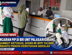 Pencairan PIP Di BRI Unit Palasarigirang Disambut Antusias, Siswa MI BPPI Talang Terbantu Penuhi Kebutuhan Sekolah