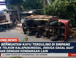 Truk Bermuatan Kayu Terguling Di Simpang Cagak Telkom Kalapanunggal, Diduga Gagal Saat Papasan Dengan Kendaraan Lain
