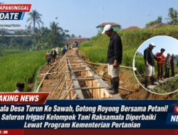 Kepala Desa Turun ke Sawah, Gotong Royong Bersama Petani! Saluran Irigasi Kelompok Tani Raksamala Diperbaiki Lewat Program Kementerian Pertanian