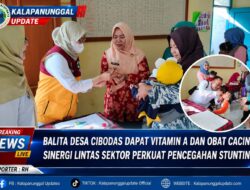 Balita Desa Cibodas Dapat Vitamin A Dan Obat Cacing, Sinergi Lintas Sektor Perkuat Pencegahan Stunting