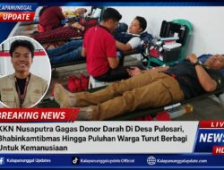KKN Nusaputra Gagas Donor Darah Di Desa Pulosari, Bhabinkamtibmas Hingga Puluhan Warga Turut Berbagi Untuk Kemanusiaan