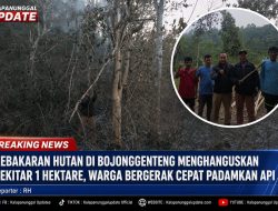 Kebakaran Hutan di Bojonggenteng Menghanguskan Sekitar 1 Hektare, Warga Bergerak Cepat Padamkan Api