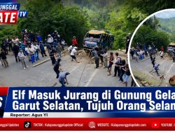 Elf Jurusan Pameungpeuk–Garut Masuk Jurang di Gunung Gelap, Seluruh Penumpang Selamat