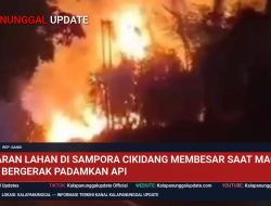 Kebakaran Lahan di Sampora Cikidang Membesar Saat Magrib, Warga Bergerak Padamkan Api