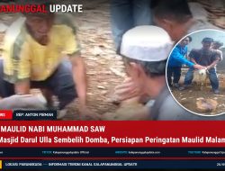 Jelang Maulid Nabi Muhammad SAW Panitia Masjid Darul Ulla Sembelih Domba, Persiapan Peringatan Maulid Malam Ini Hadirkan KH Syamsuri