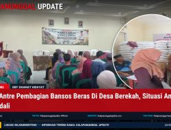 Warga Antre Pembagian Bansos Beras Di Desa Berekah, Situasi Aman Terkendali