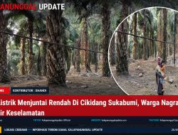 Kabel Listrik Menjuntai Rendah Di Cikidang Sukabumi, Warga Nagrak Khawatir Keselamatan