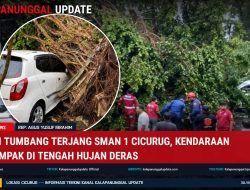 Pohon Tumbang Terjang SMAN 1 Cicurug, Kendaraan Terdampak Di Tengah Hujan Deras