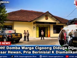 HEBOH! Domba Warga Cigoong Diduga Dijual ke Pasar Hewan, Pria Berinisial K Diamankan Polisi