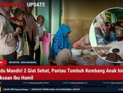 Posyandu Mandiri 2 Giat Sehat, Pantau Tumbuh Kembang Anak hingga Pemeriksaan Ibu Hamil