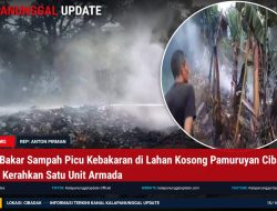Diduga Bakar Sampah Picu Kebakaran di Lahan Kosong Pamuruyan Cibadak, Damkar Kerahkan Satu Unit Armada