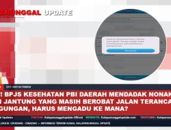 Kaget! BPJS Kesehatan PBI Daerah Mendadak Nonaktif, Pasien Jantung yang Masih Berobat Jalan Terancam Kebingungan, Harus Mengadu Ke Mana?