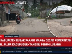 Jalan Kabupaten Rusak Parah ! Warga Desak Pemerintah Turun Tangan, Jalur Kadupugur–Tangkil Penuh Lubang
